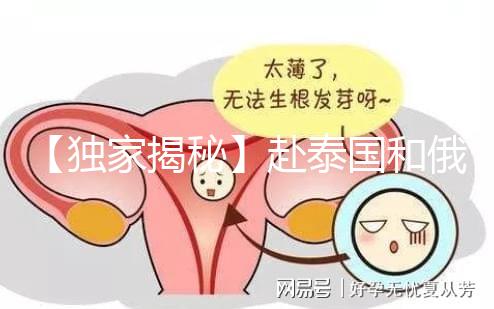 【獨家揭秘】赴泰國和俄羅斯試管嬰兒費用為何那么大差異