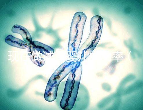 現(xiàn)在做試管嬰兒成功率（現(xiàn)在做試管嬰兒成功率高嗎）