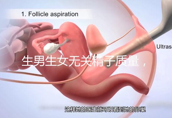 生男生女無關(guān)精子質(zhì)量，分享成功懷男孩的4個(gè)細(xì)節(jié)經(jīng)驗(yàn)