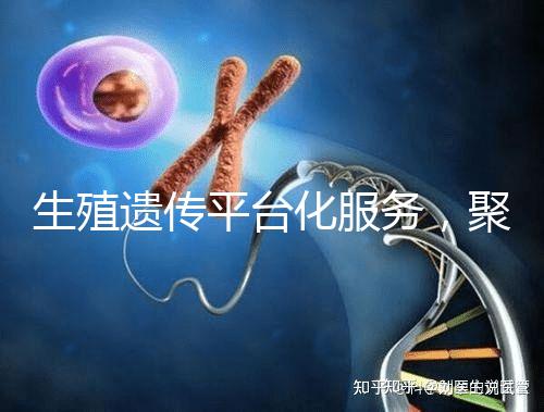 生殖遺傳平臺化服務，聚焦精準化臨床應用