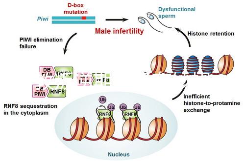 管教叛逆期孩子有妙招，這四個方法遠勝封閉式管理