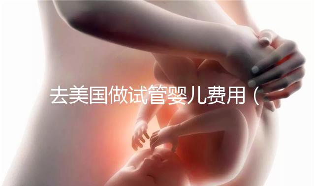 去美國做試管嬰兒費(fèi)用（國外試管嬰兒費(fèi)用大約多少）