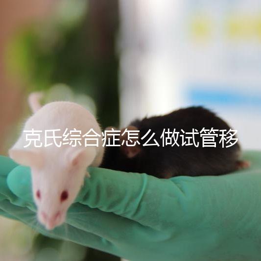 克氏綜合癥怎么做試管移植看這，促排取卵一個流程不能少