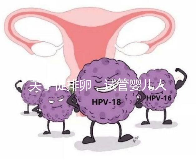 關于促排卵，試管嬰兒人群應該知道的 6 個真相