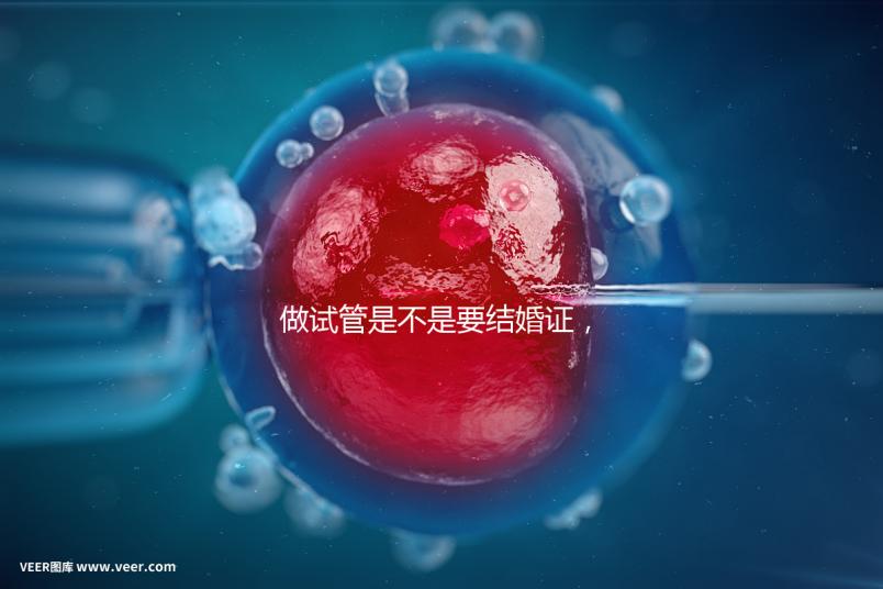 做試管是不是要結婚證，做試管需要結婚證
