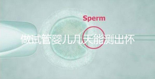 做試管嬰兒幾天能測出懷孕，3招教你提高試管成功率