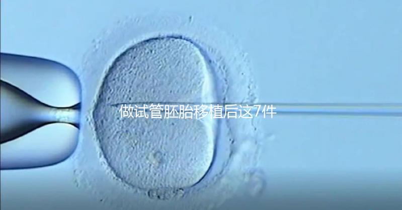 做試管胚胎移植后這7件事做錯，小心胚胎流掉！