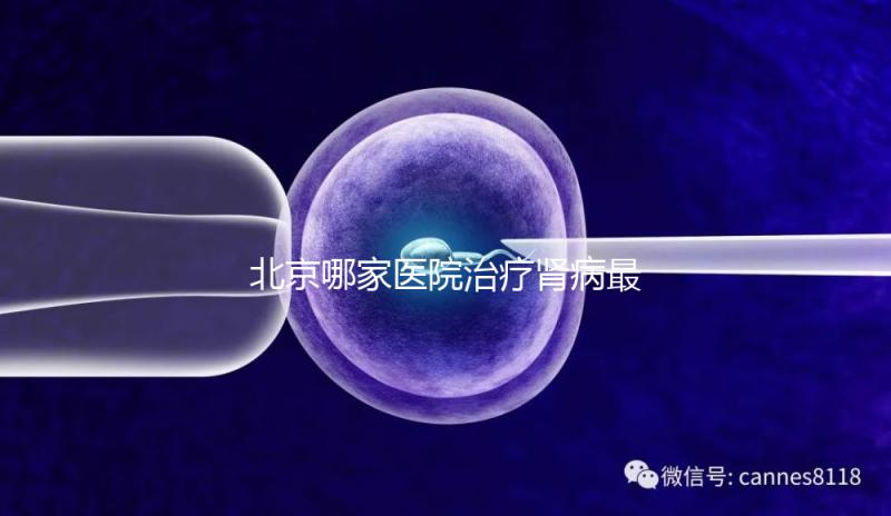 北京哪家醫(yī)院治療腎病最好（北京哪家醫(yī)院治療腎病最好？）