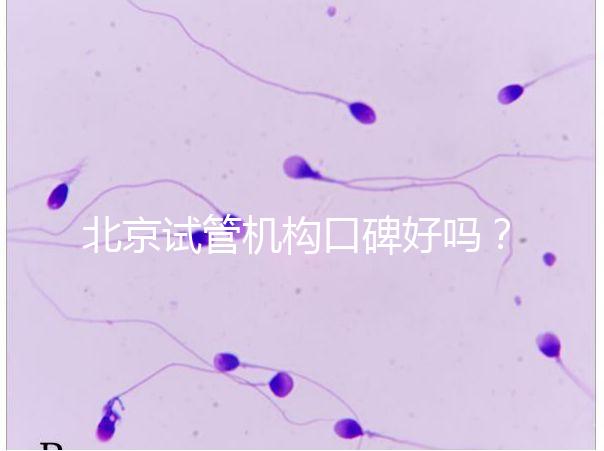 北京試管機構口碑好嗎？哪個醫(yī)院靠譜？