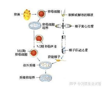 北京 腎病（北京腎病醫院排名第一）