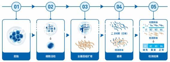 別再掉入“清宮圖”的坑中！備孕不應(yīng)錯過女性最佳生育年齡