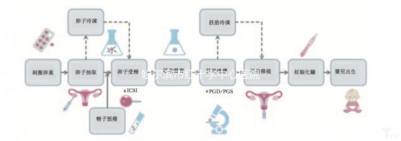 哈爾濱市紅十字中心醫院試管怎么樣？2024年助孕成功率數據共享