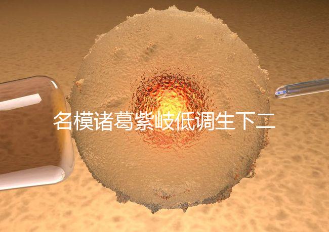 名模諸葛紫岐低調生下二胎，孕7個月肚子扁平成焦點