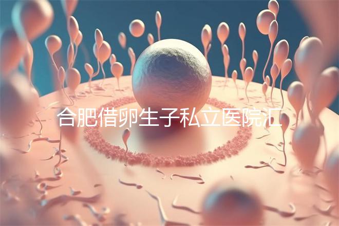 合肥借卵生子私立醫(yī)院匯總，2024哪家排名好一覽了然