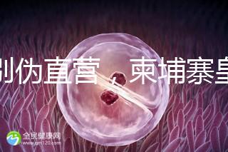 告別偽直營，柬埔寨皇家生殖遺傳醫院RFG中國辦事處指南