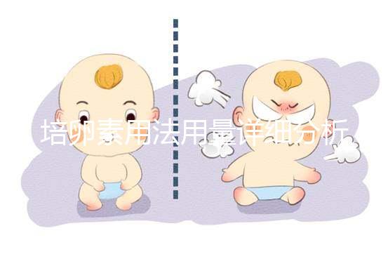 培卵素用法用量詳細(xì)分析，不同情況服用時(shí)間有差異