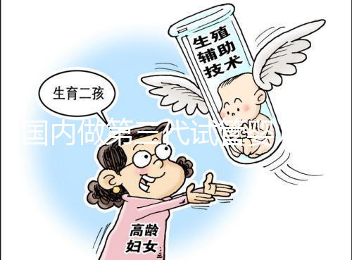 國(guó)內(nèi)做第三代試管嬰兒的公立醫(yī)院哪家成功率最高？