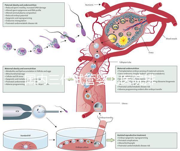 國內三代試管嬰兒醫院排名已更新，2025年上榜醫院是這幾家！