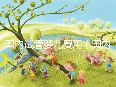 國內(nèi)試管嬰兒費用（國內(nèi)試管嬰兒費用多少）