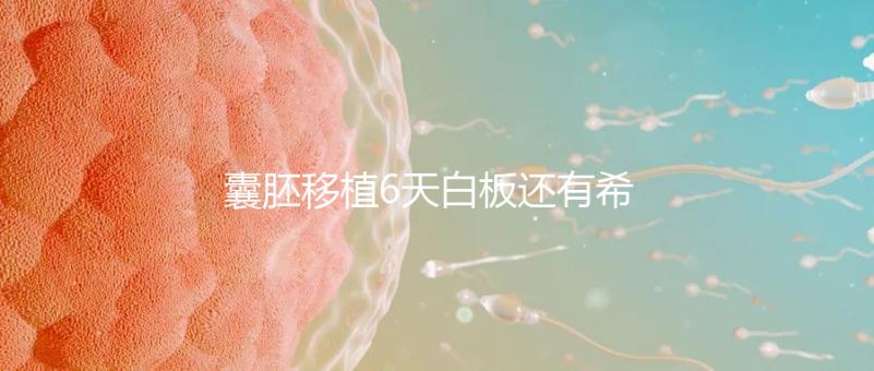 囊胚移植6天白板還有希望嗎?別沮喪該來(lái)的總是會(huì)來(lái)的