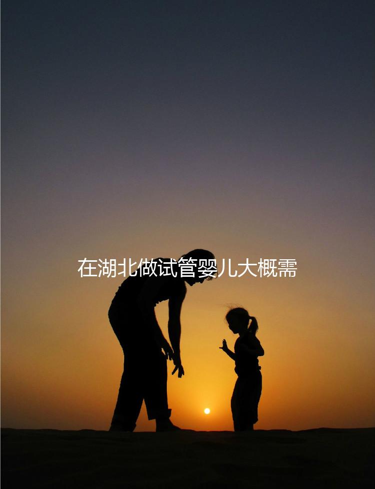 在湖北做試管嬰兒大概需要準備多少費用？詳細費用解析