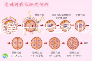 促排第十一天金秀兒灰印、白板均有希望，抽血hcg2懷孕懸
