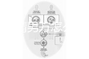 人工授精男方怎么取精？2種取精過程分別適合不同人群