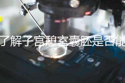 了解子宮憩室囊胚是否能成功移植，這里是否有出血