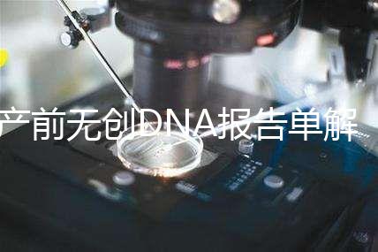 產前無創(chuàng)DNA報告單解讀：三項結果竟然暗示寶寶性別