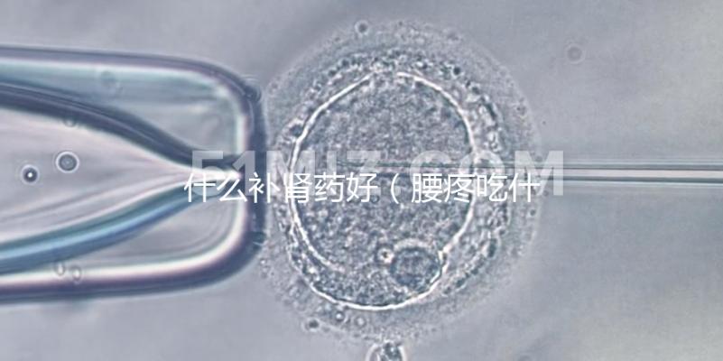 什么補腎藥好（腰疼吃什么補腎藥好）