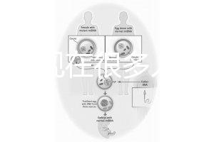 為什么現在很多人選擇用第三代試管嬰兒技術做試管嬰兒？
