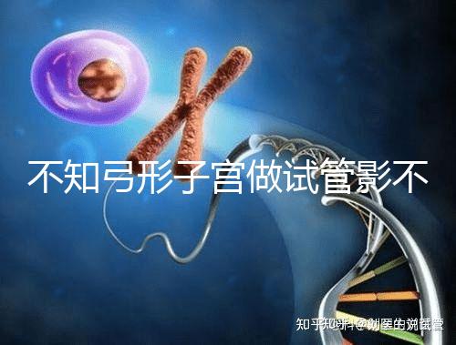 不知弓形子宮做試管影不影響移植速覽，有多危險趁早了解