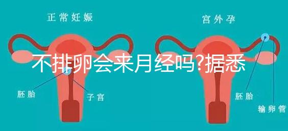 不排卵會來月經嗎?據悉并不會推遲"大姨媽"的到來