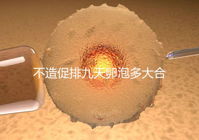 不造促排九天卵泡多大合適的瞧，卵巢功能好卵子10還能長