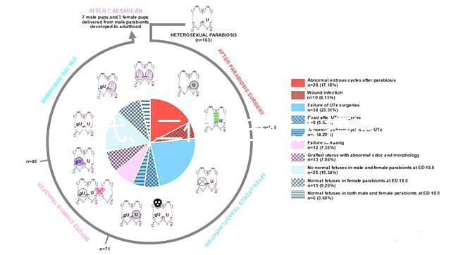 一代、二代、三代人授試管的區(qū)別全在這里！還有第四代試管技術(shù)！