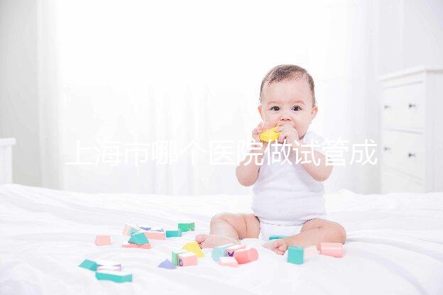 上海市哪個醫院做試管成功率高最好的？