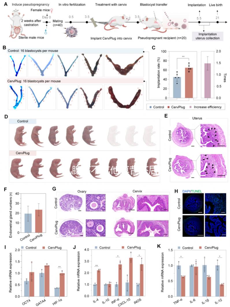 乳腺癌不吃他莫昔芬后果很嚴重，復(fù)發(fā)僅為其一
