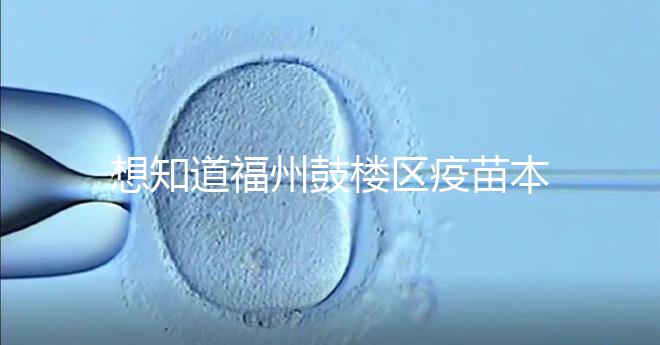 想知道福州鼓樓區(qū)疫苗本丟失怎么辦看這，到哪里補辦要弄清