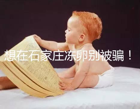 想在石家莊凍卵別被騙！單身未婚女性首選泰國和美國