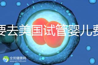 想要去美國試管嬰兒費用要花多少錢？2025年費用明細！