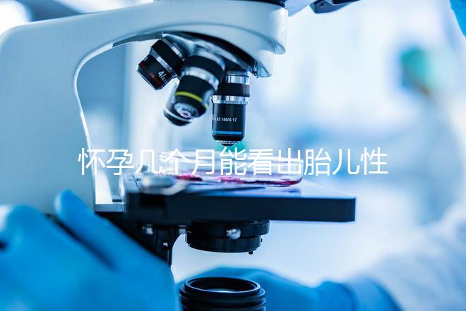 懷孕幾個(gè)月能看出胎兒性別?不清楚的姐妹們都看過(guò)來(lái)!