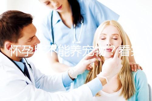 懷孕后不能養寵物？看完試管嬰兒醫生的解釋，請認真做決定