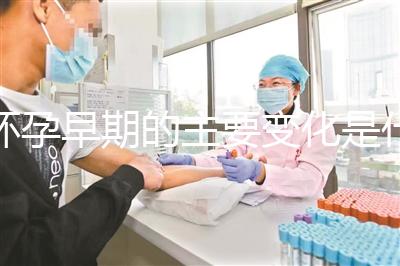 懷孕早期的主要變化是什么？