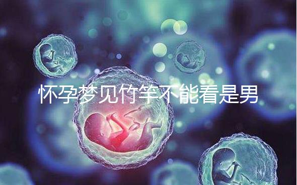 懷孕夢(mèng)見(jiàn)竹竿不能看是男孩or女孩，解讀胎夢(mèng)預(yù)兆別太主觀