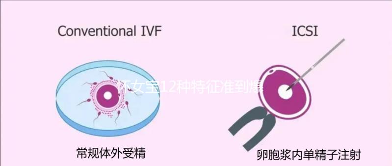 懷女寶12種特征準(zhǔn)到爆，尿液顏色、孕反...看你對(duì)上幾條