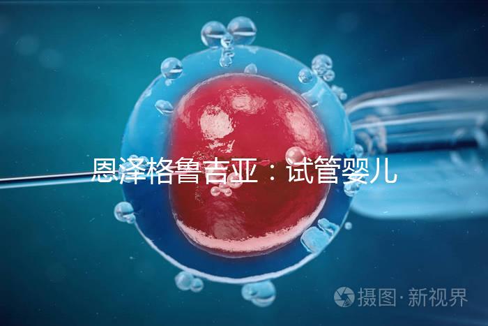 恩澤格魯吉亞：試管嬰兒助孕囊胚移植后，著床時間全解析