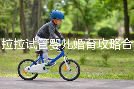 拉拉試管嬰兒婚育攻略合輯，期待新生命，為自己而活(三）