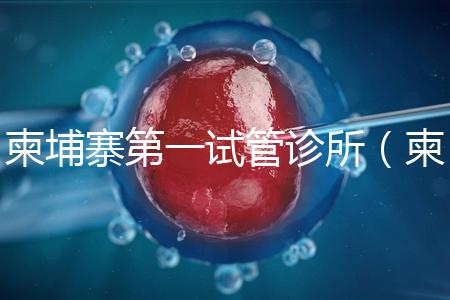 柬埔寨第一試管診所（柬埔寨第一試管診所地址）