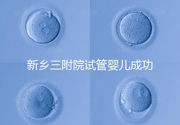 新鄉三附院試管嬰兒成功率參考，4大真實案例分享助孕體驗