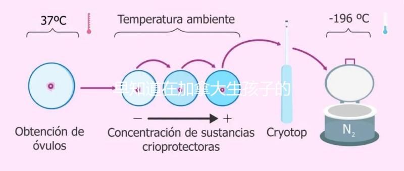 早知道在加拿大生孩子的國籍是什么！最后期限附回國定居